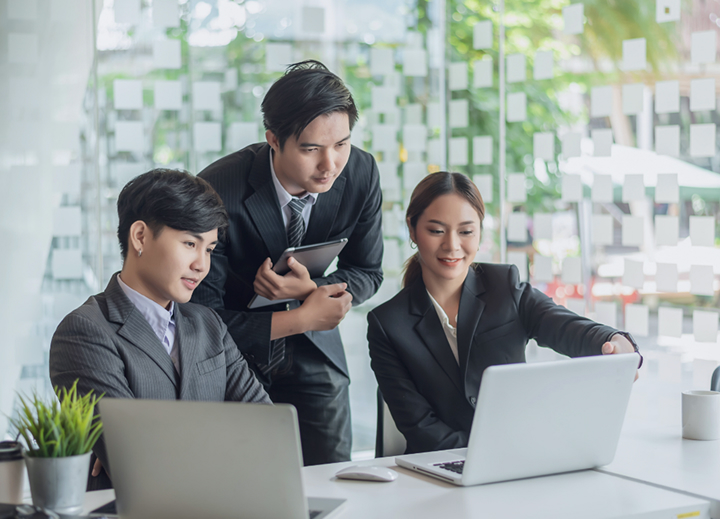 Team working on ProSnap